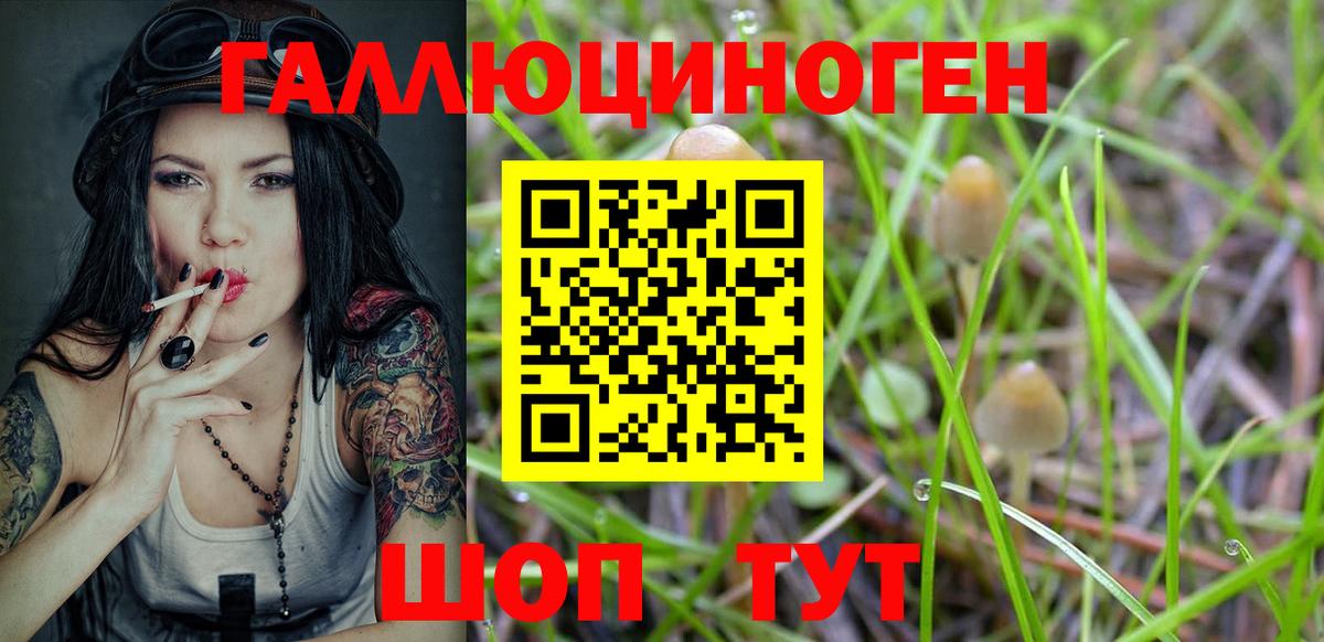 Галлюциногенные грибы мухоморы Жуковский