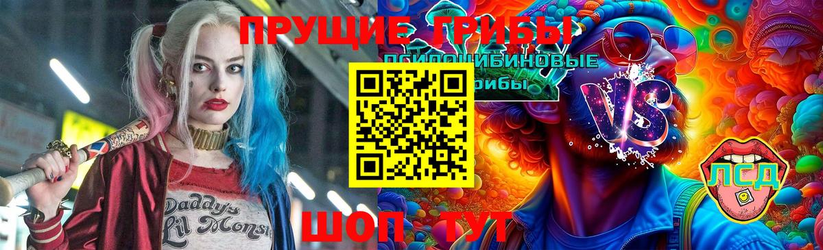 Галлюциногенные грибы Psilocybe  сколько стоит  Жуковский  Вход с VPN 